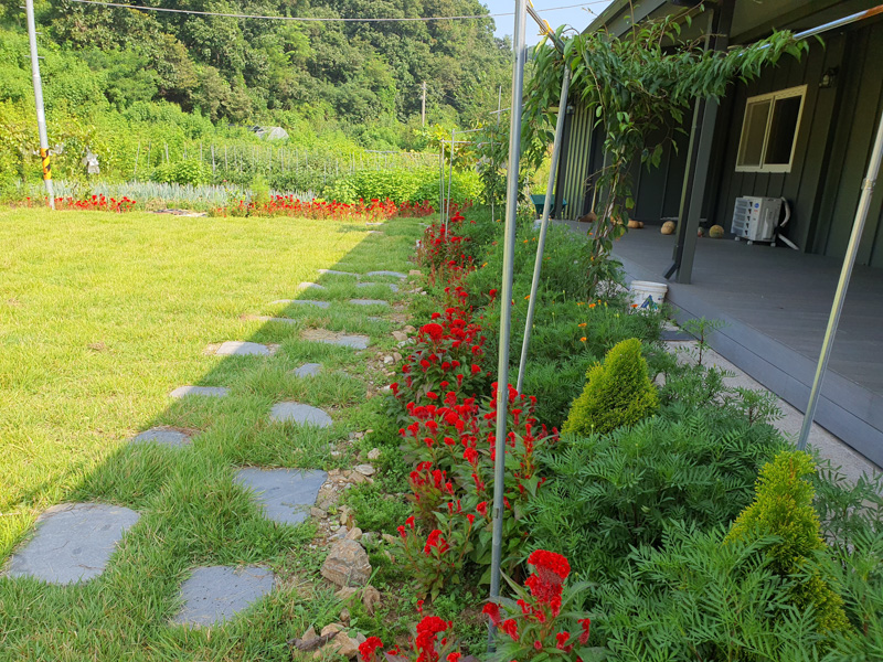 추가-잔디밭 전경